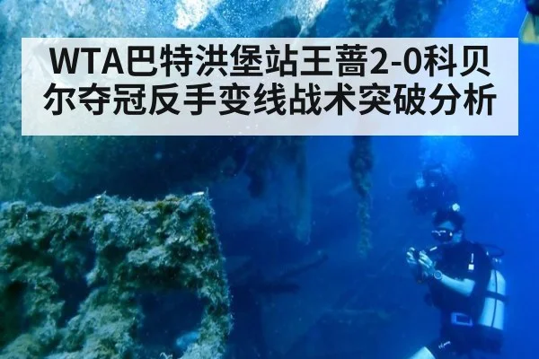 WTA巴特洪堡站王蔷2-0科贝尔夺冠反手变线战术突破分析